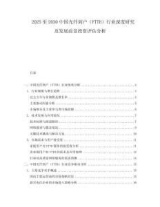 2025至2030中國光纖到戶（FTTH）行業(yè)深度研究及發(fā)展前景投資評估分析