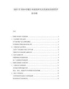 2025至2030檸檬行業深度研究及發展前景投資評估分析