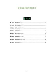 青年就業(yè)問題與政策支持-洞察及研究