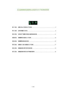 艾滋病病毒復(fù)制過(guò)程的分子機(jī)制探索-洞察及研究