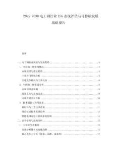 2025-2030電工鋼行業(yè)ESG表現(xiàn)評(píng)估與可持續(xù)發(fā)展戰(zhàn)略報(bào)告