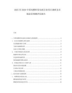 2025至2030中國雙燃料發(fā)電機(jī)行業(yè)項(xiàng)目調(diào)研及市場前景預(yù)測評估報告