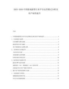 2025-2030中國(guó)游戲游資行業(yè)平臺(tái)運(yùn)營(yíng)模式分析及用戶粘性提升