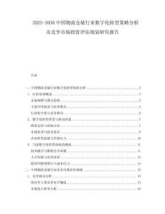 2025-2030中國物流倉儲行業數字化轉型策略分析及競爭市場投資評估規劃研究報告