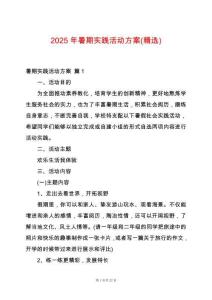 2025年暑期實踐活動方案(精選)