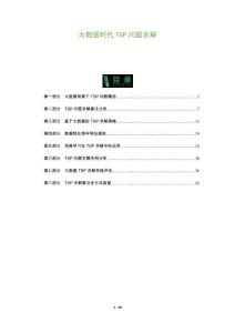 大數(shù)據(jù)時代TSP問題求解-洞察及研究