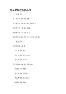 安全教育市公開課獲獎教案省名師優質課賽課一等獎教案雷小班