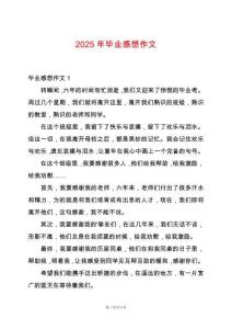 2025年畢業(yè)感想作文