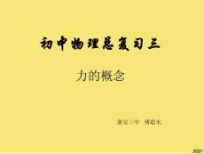 初中物理總復習三-力的概念PPT優秀資料