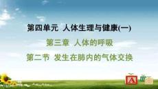 人教 七年級生物上冊  第四單元09-第三章 人體的呼吸-第二節 發生在肺內的氣體交換