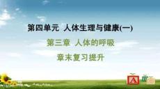 人教 七年級生物上冊  第四單元10-第三章 人體的呼吸-章末復習提升