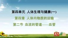 人教 七年級生物上冊  第四單元12-第四章 人體內物質的運輸-第二節 血流的管道——血管