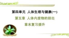 人教 七年級生物上冊  第四單元16-第五章 人體內廢物的排出-章末復習提升