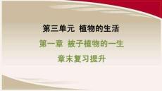 人教 七年級生物上冊 第三單元05-第一章 被子植物的一生-章末復習提升