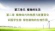 人教 七年級生物上冊 第三單元11-第二章 植物體內的物質與能量變化-識圖學生物 綠色植物的生理作用