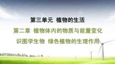 人教 七年級生物上冊 第三單元11-第二章 植物體內的物質與能量變化-識圖學生物 綠色植物的生理作用
