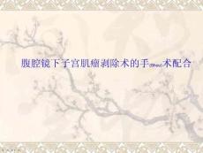 腹腔鏡下子宮肌瘤剝除術(shù)的手術(shù)配合護(hù)理個(gè)案分析ppt