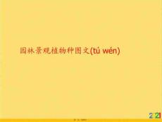 園林景觀植物種圖文優選ppt資料