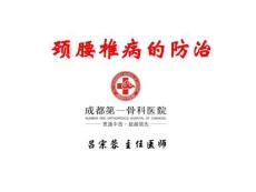 頸腰椎病【可編輯的PPT文檔】