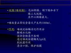 涎腺疾病超声诊疗课件