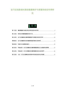 安乃近滴鼻液對(duì)鼻腔黏膜保護(hù)與修復(fù)的綜合作用研究-洞察及研究