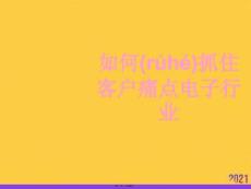 如何抓住客戶痛點電子行業PPT資料