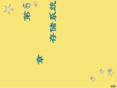 存儲系統(tǒng)PPT優(yōu)秀資料