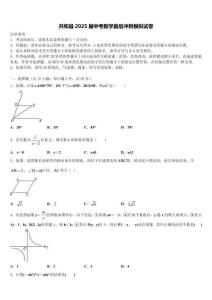 共和縣2025屆中考數學最后沖刺模擬試卷含解析