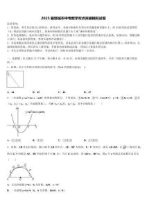 2025屆塔城市中考數學對點突破模擬試卷含解析