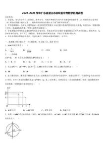 2024-2025學年廣東省湛江市赤坎區中考數學仿真試卷含解析