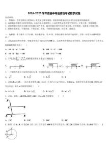 2024-2025學年應縣中考適應性考試數學試題含解析