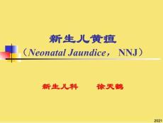 新生兒黃疸1PPT優(yōu)秀資料
