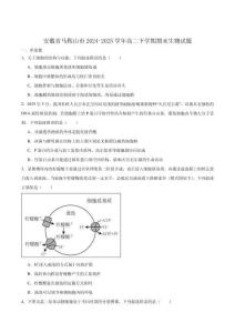 安徽省馬鞍山市2024-2025學年高二下學期期末考試生物試卷（含答案）