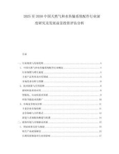 2025至2030中國(guó)天然氣和水傳輸系統(tǒng)配件行業(yè)深度研究及發(fā)展前景投資評(píng)估分析