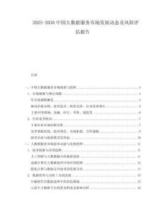 2025-2030中國大數據服務市場發展動態及風險評估報告