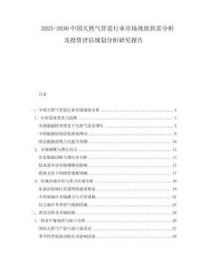 2025-2030中國(guó)天然氣管道行業(yè)市場(chǎng)現(xiàn)狀供需分析及投資評(píng)估規(guī)劃分析研究報(bào)告