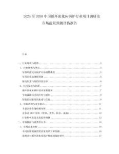 2025至2030中國循環流化床鍋爐行業項目調研及市場前景預測評估報告