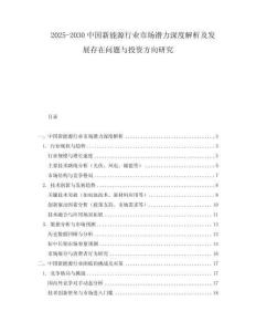 2025-2030中國新能源行業市場潛力深度解析及發展存在問題與投資方向研究