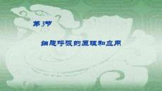 5.3細胞呼吸的原理和應用 課件(內嵌視頻)高一生物（人教版）必修1