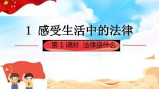 統(tǒng)編版道德與法治六年級上冊1.1《感受生活中的法律》 第一課時 課件