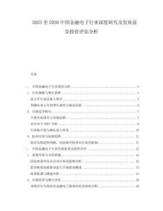 2025至2030中國金融電子行業深度研究及發展前景投資評估分析