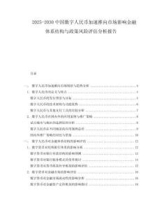 2025-2030中國數(shù)字人民幣加速推向市場影響金融體系結(jié)構(gòu)與政策風險評估分析報告