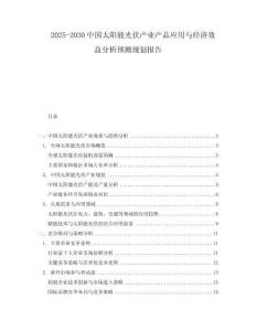 2025-2030中國太陽能光伏產(chǎn)業(yè)產(chǎn)品應(yīng)用與經(jīng)濟效益分析預(yù)測規(guī)劃報告