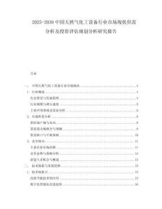 2025-2030中國(guó)天然氣化工設(shè)備行業(yè)市場(chǎng)現(xiàn)狀供需分析及投資評(píng)估規(guī)劃分析研究報(bào)告