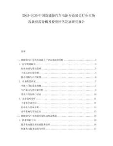 2025-2030中國新能源汽車電池壽命延長行業(yè)市場現(xiàn)狀供需分析及投資評估發(fā)展研究報(bào)告
