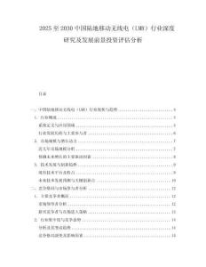 2025至2030中國陸地移動無線電（LMR）行業深度研究及發展前景投資評估分析