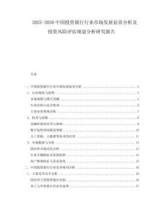 2025-2030中國投資銀行行業市場發展前景分析及投資風險評估規劃分析研究報告