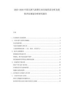 2025-2030中國(guó)天然氣消費(fèi)行業(yè)市場(chǎng)供需分析及投資評(píng)估規(guī)劃分析研究報(bào)告