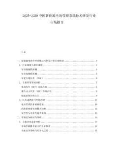 2025-2030中國新能源電池管理系統技術研發行業市場報告