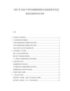 2025至2030中國全畫幅照相機行業深度研究及發展前景投資評估分析